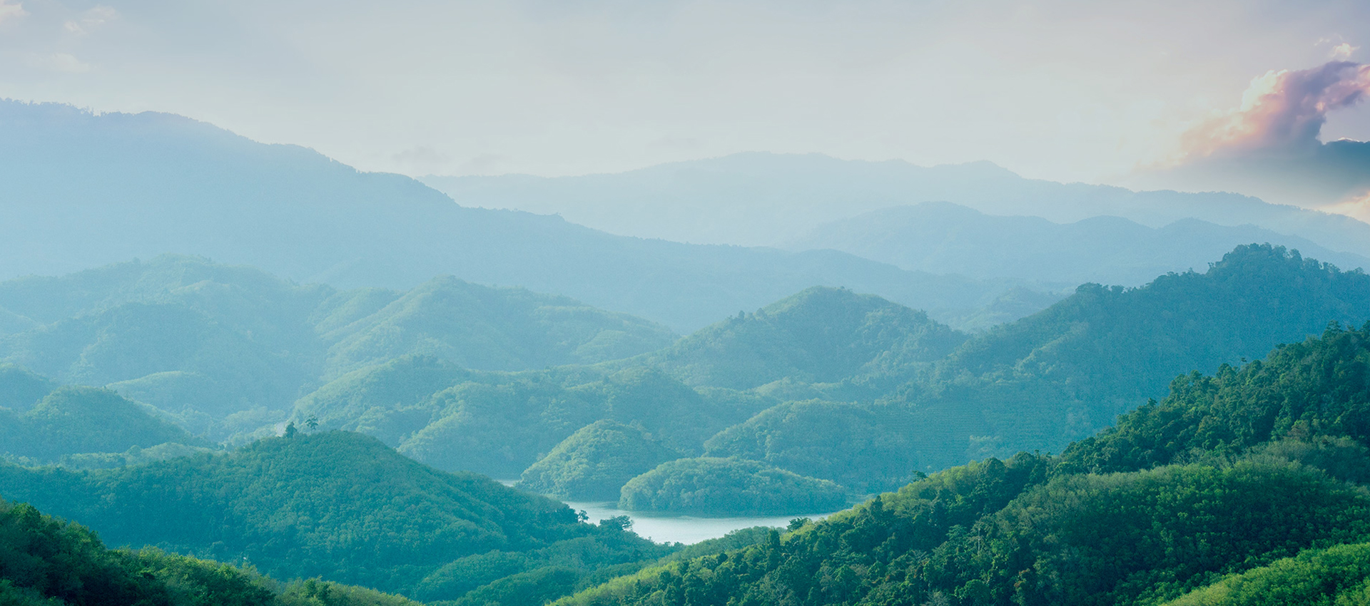 致力于“产、学、研”相结合和科研成果的转化